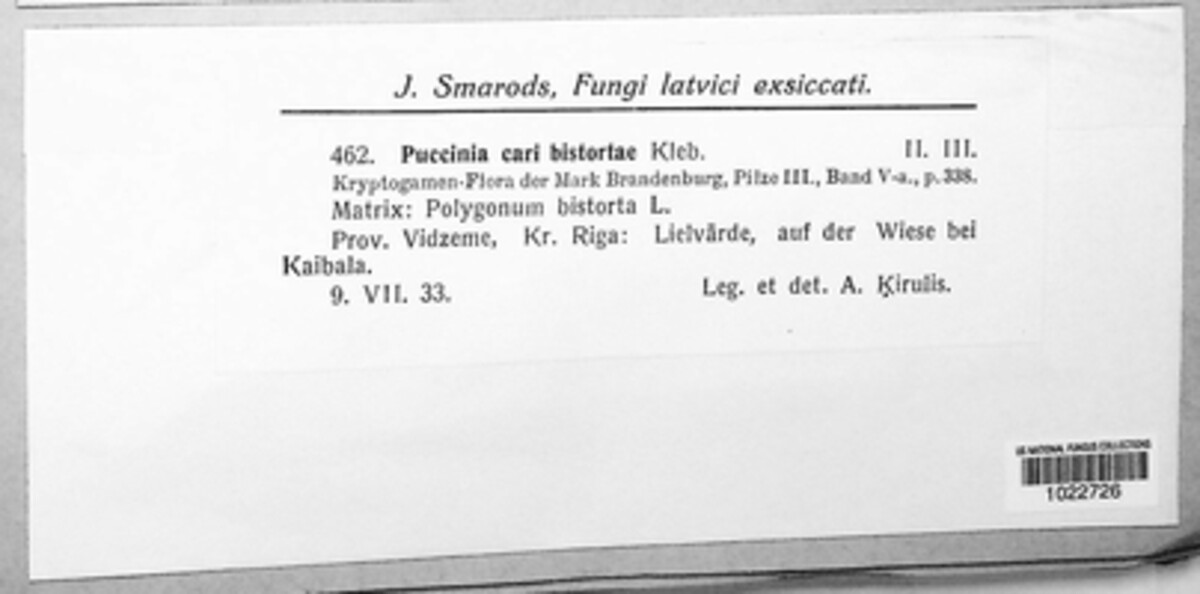 Puccinia cari-bistortae image